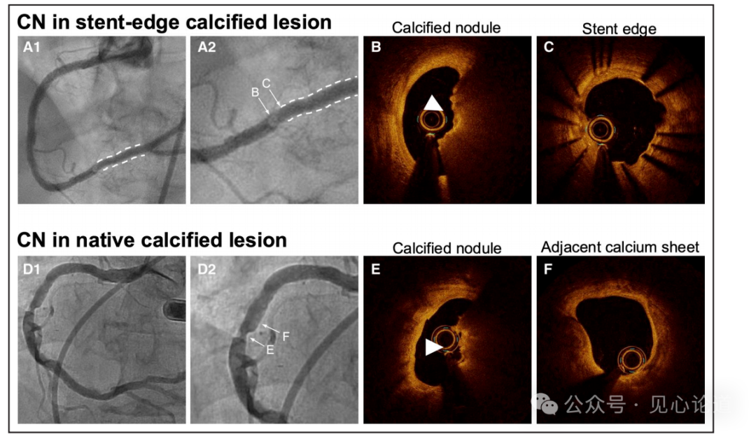 640 - 2025-08-27T100654.165.png