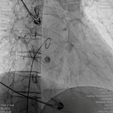 bc0d2a801edd4e778290364abd0ec387.gif upfile